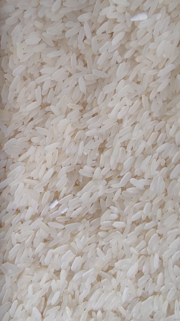 WhatsApp Image 2025-07-08 at 11.48.25 AM.jpeg